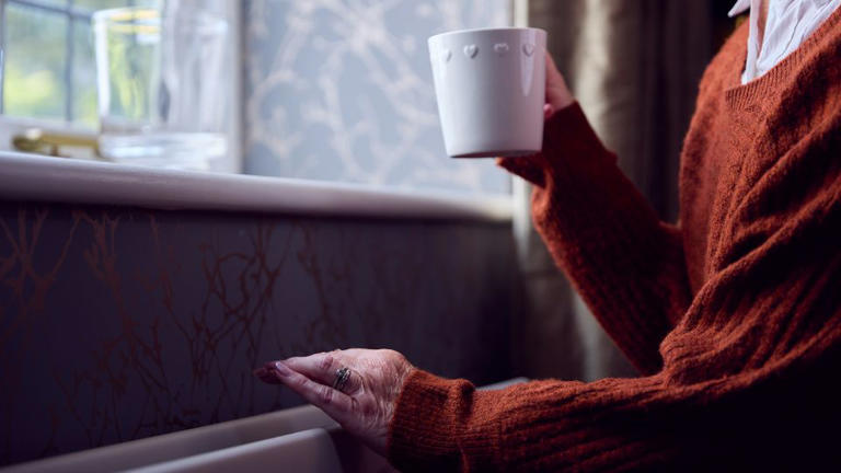 Forget 'ferritin face' — experts explain the truth about iron deficiency