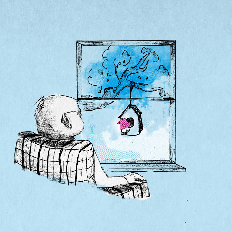 Birdwatching rewires the brain and slows cognitive decline