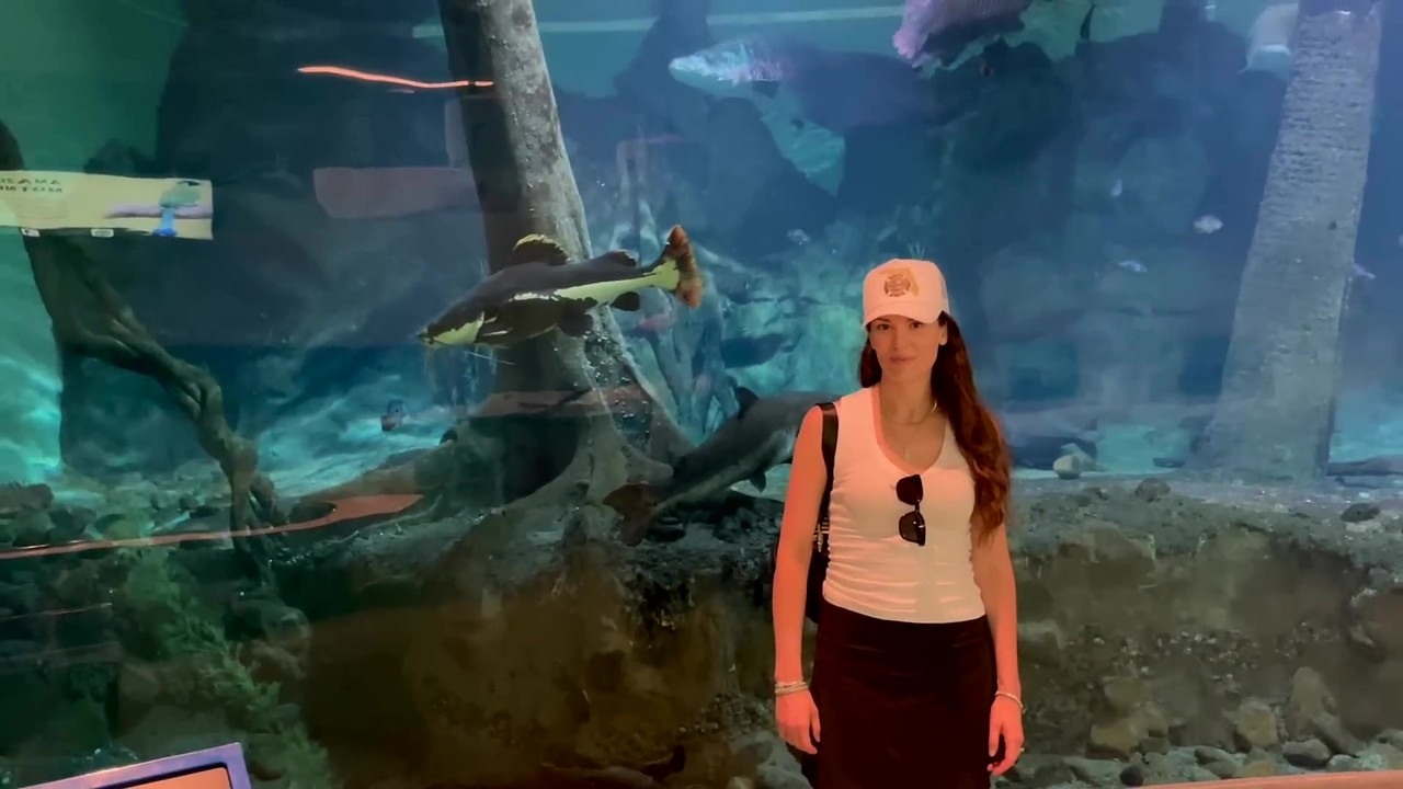 A zoo becomes the new home for a fishkeeper’s pet fish