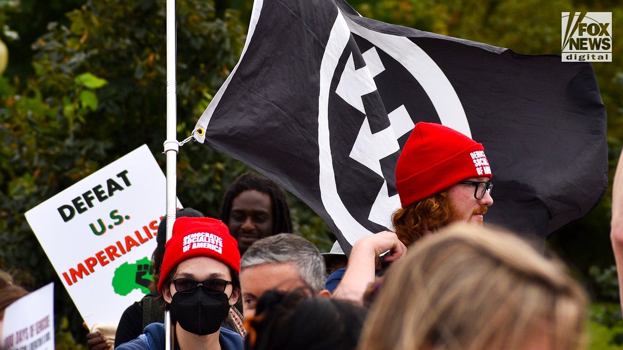 Antifa supporter charged with stealing GOP campaign signs in NY race to ...