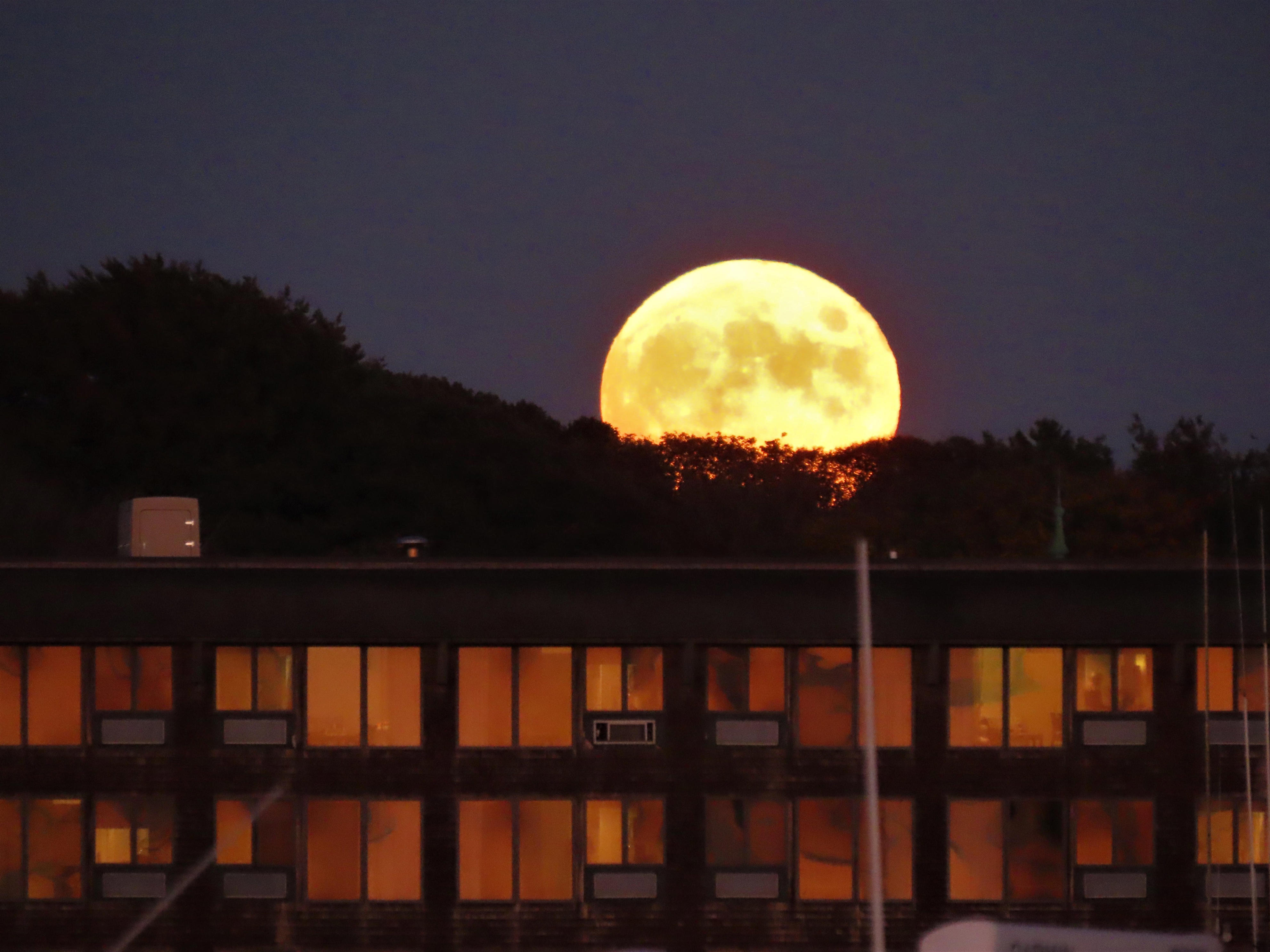 Hunter's moon 2026: When to see October's full moon