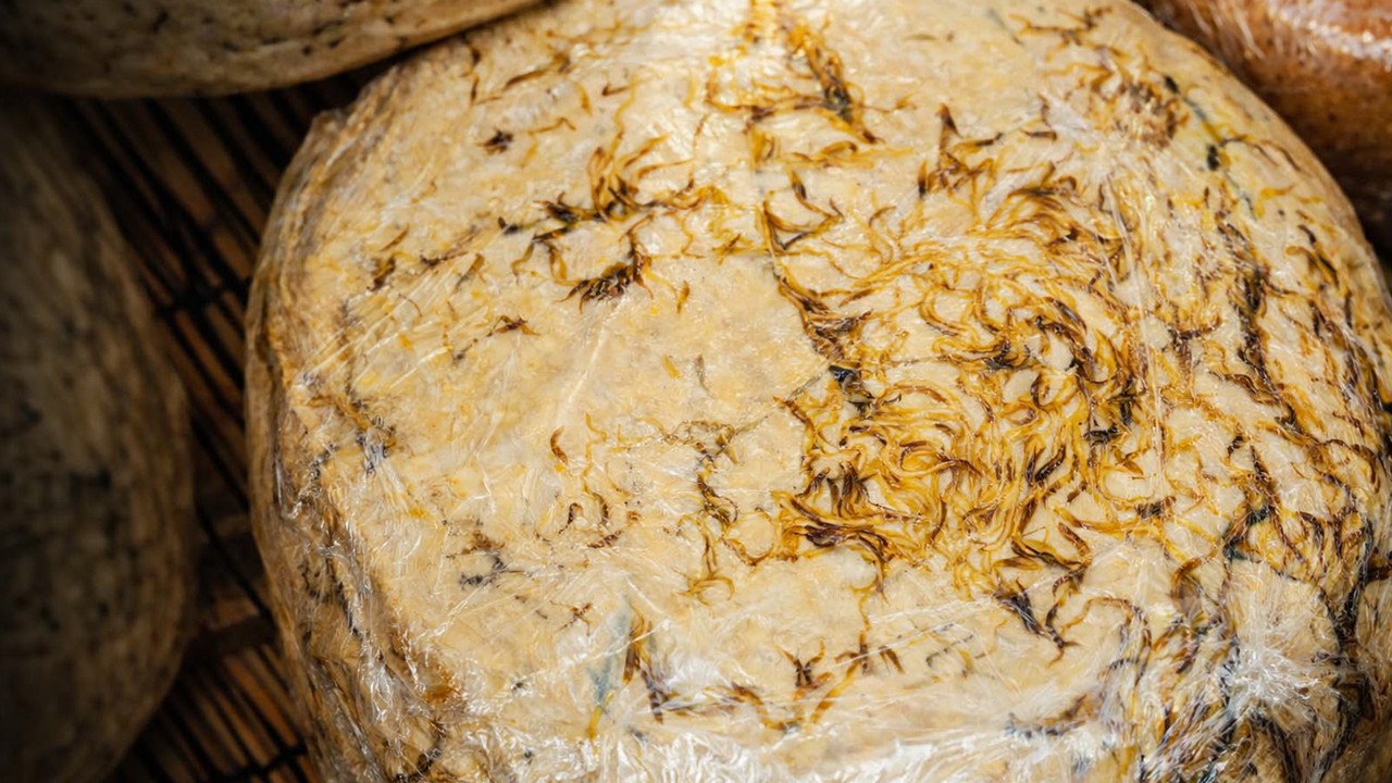 How Sardinia’s traditional cheese gets its unusual creamy texture
