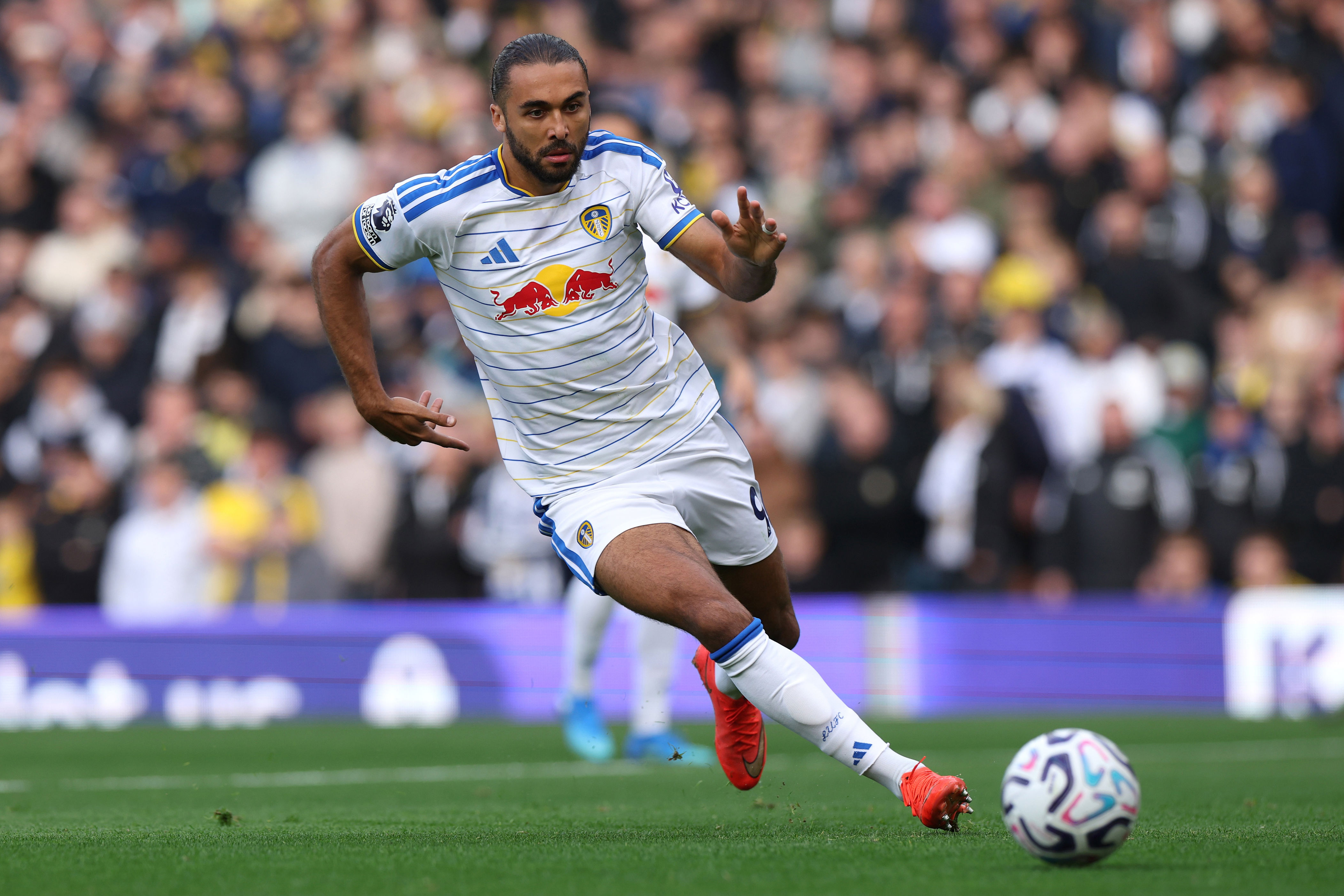 Leeds United fans in complete agreement on Sunderland clash with ...