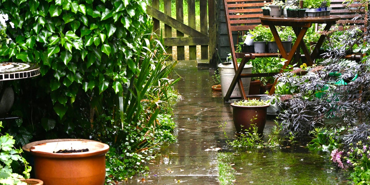 Storm Boelo: 5 garden features to secure now before strong winds and ...
