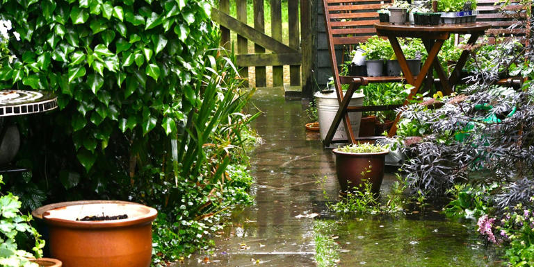 Storm Boelo: 5 garden features to secure now before strong winds and ...