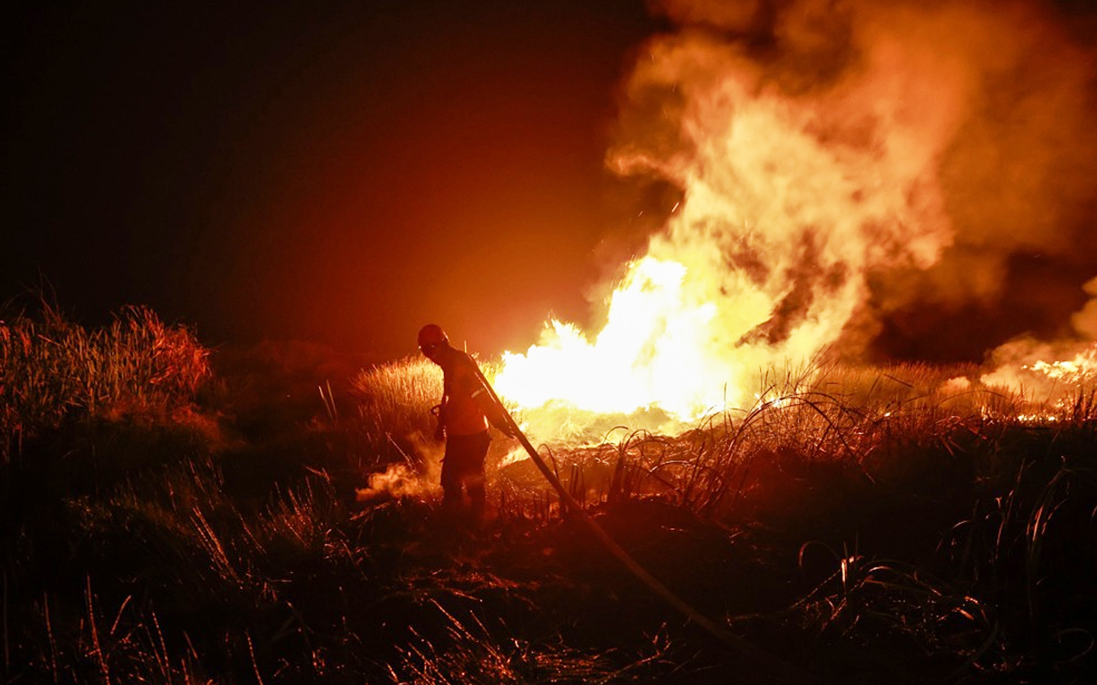 Offer to help Indonesia put out forest fires still stands, says Fahmi