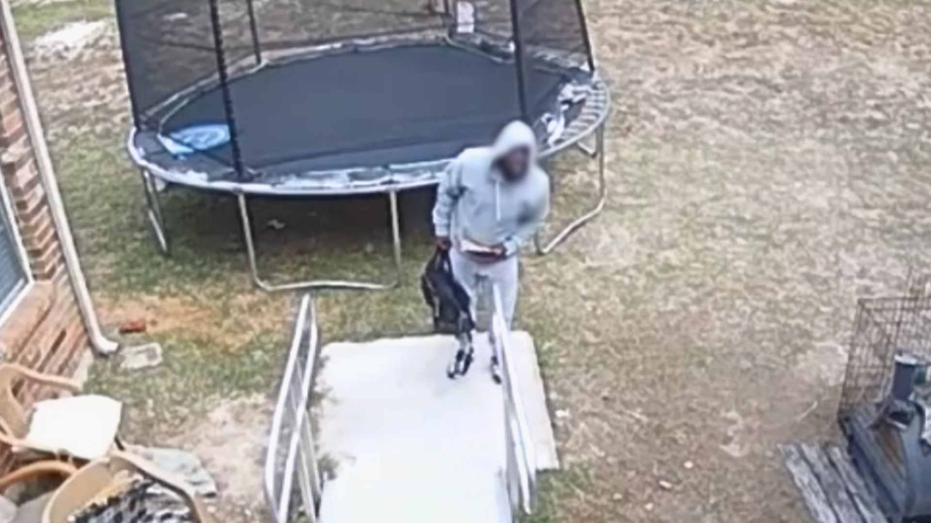 Terrified cocky thief escapes hastily when alarm goes off ...