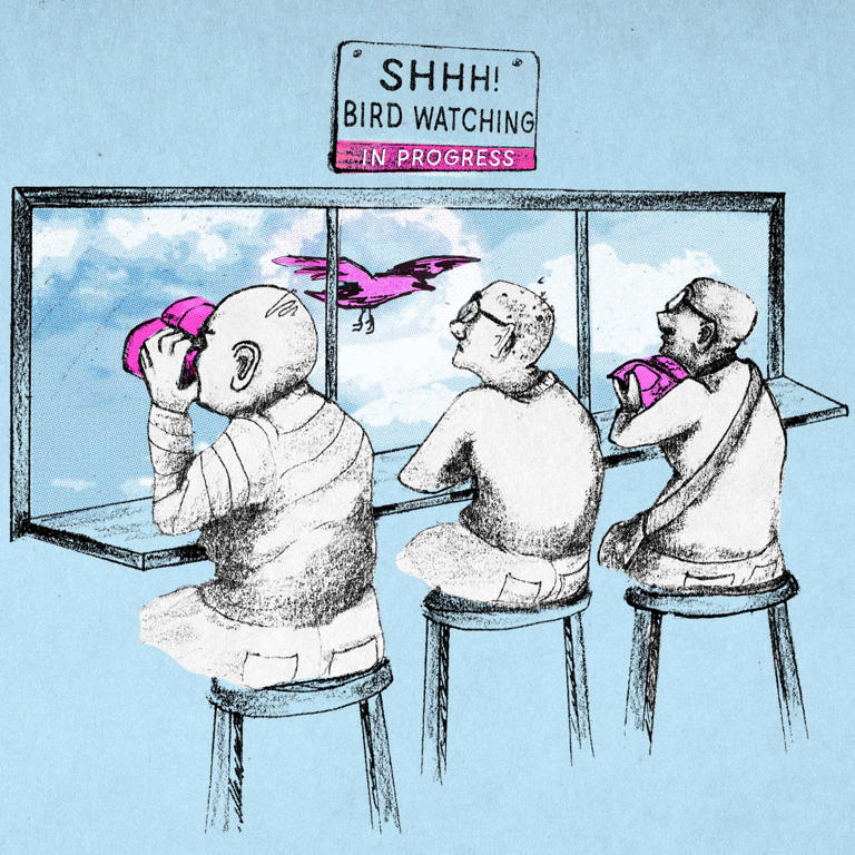 Birdwatching rewires the brain and slows cognitive decline