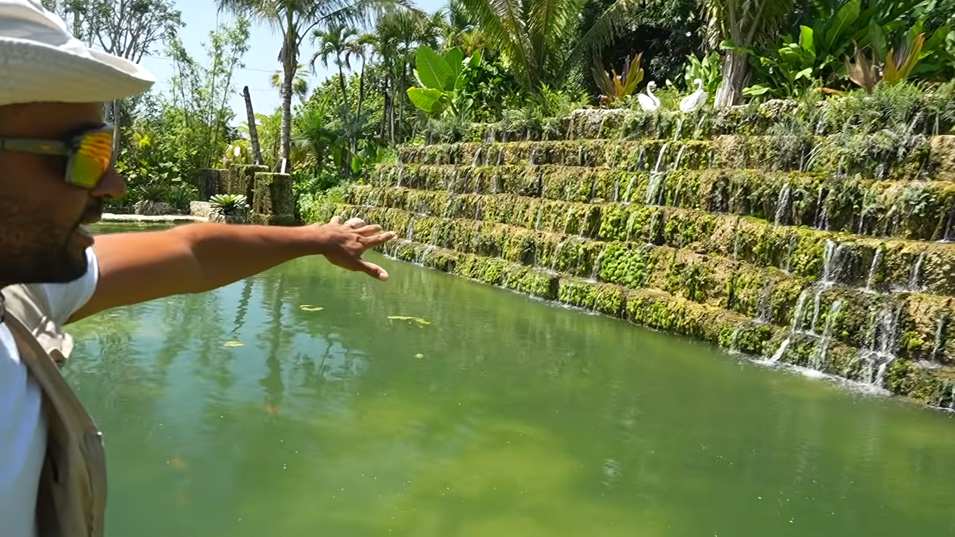 These fish live better than some people... they have a $40,000 resort ...