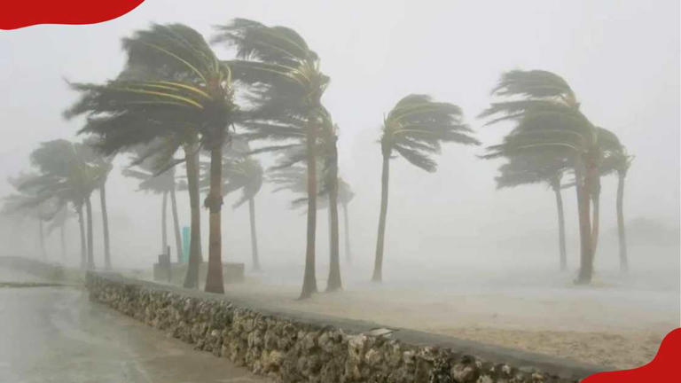 Kenya Met issues 7-day warning to Kenyans using Indian Ocean as waves ...