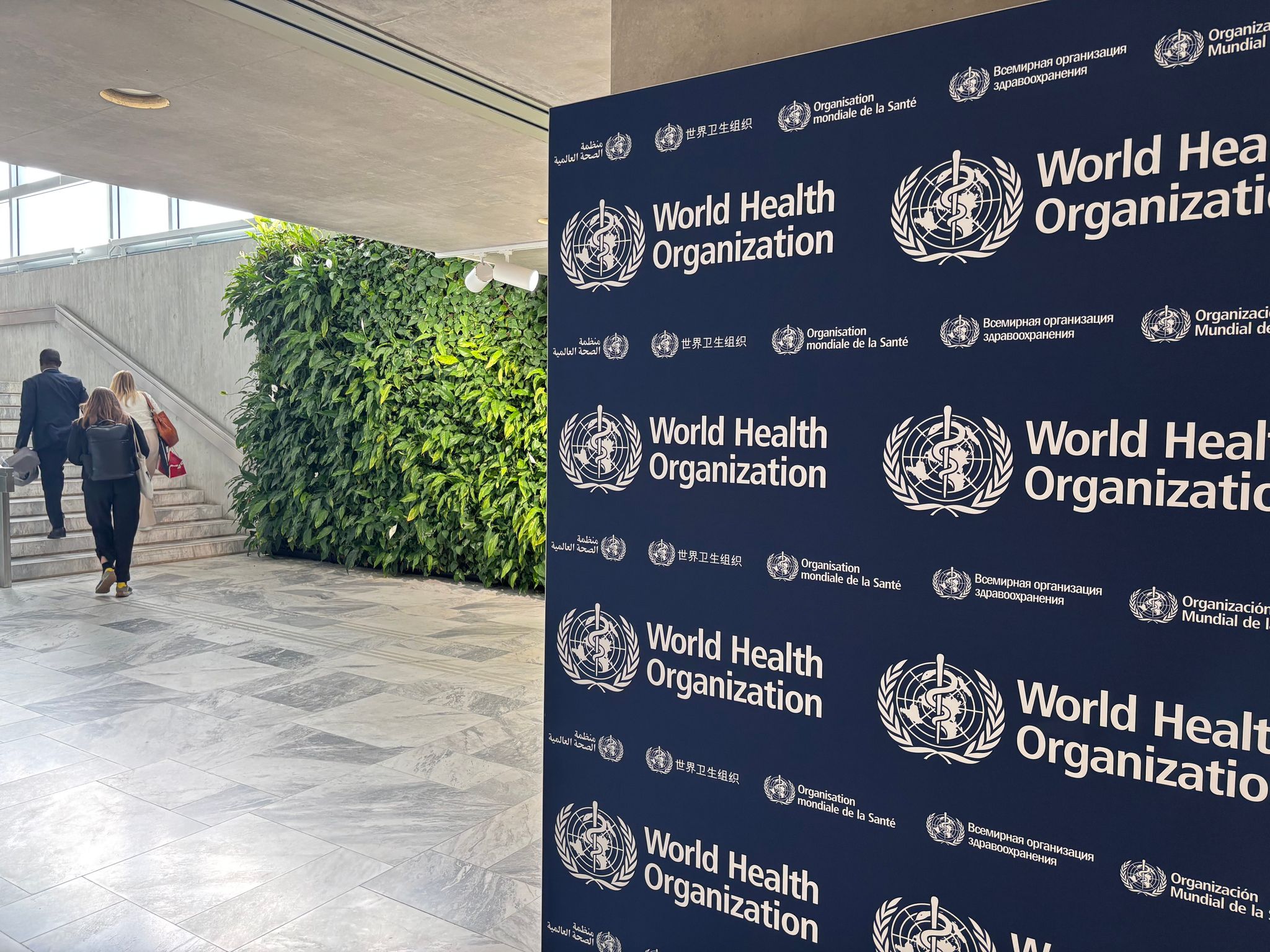 WHO: Shamonda virus spread among humans unlikely despite man's death