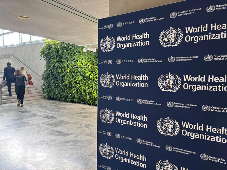 WHO: Shamonda virus spread among humans unlikely despite man's death