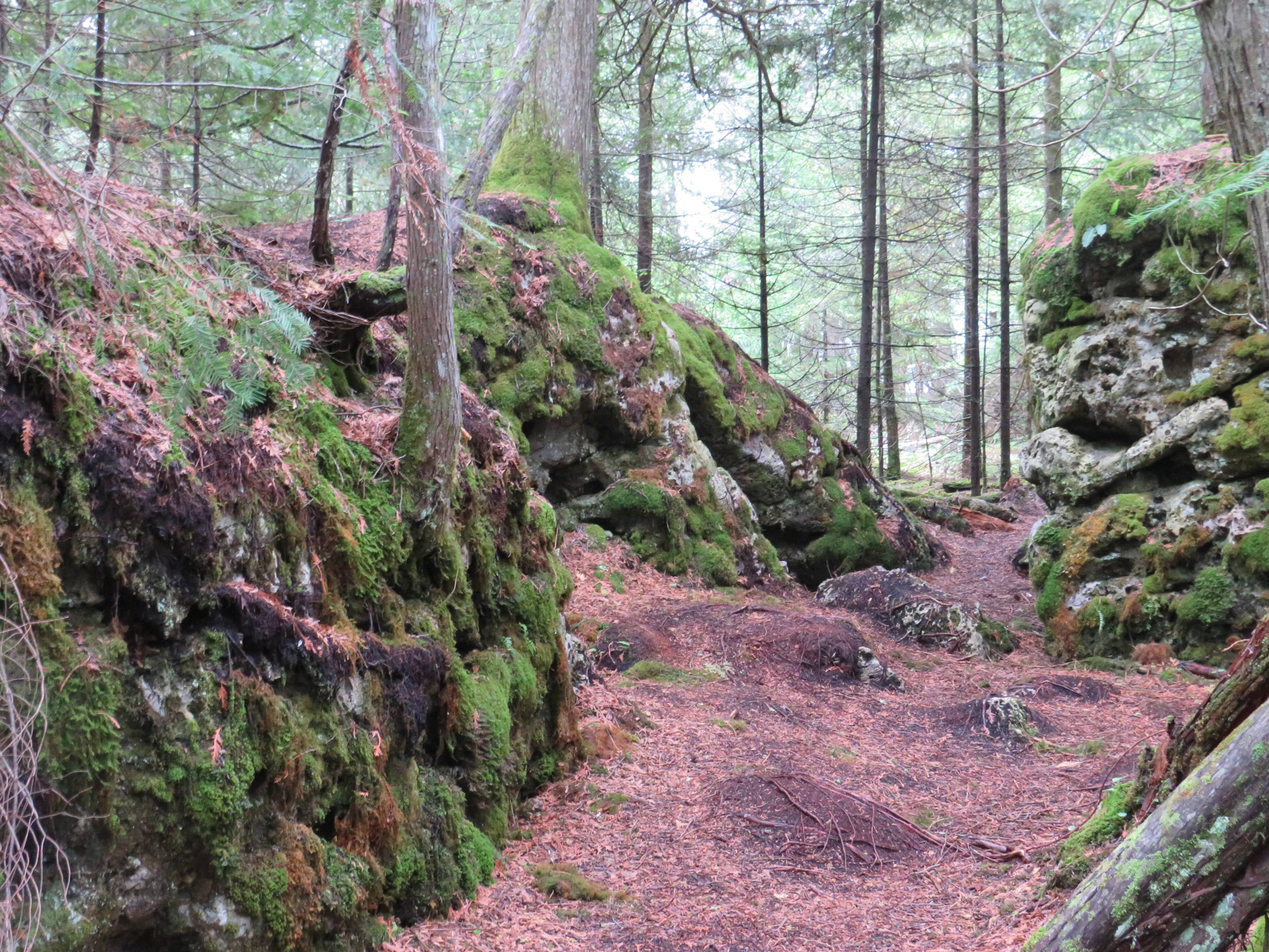 Conservation measures are saving Michigan’s 'Narnia Trail' from social ...