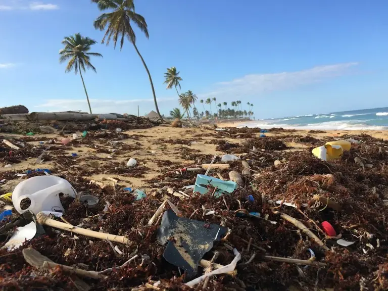Oceans ranked by plastic pollution