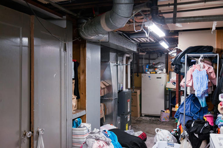 Seeing more spiders in your home this fall? Here’s why they’re showing ...