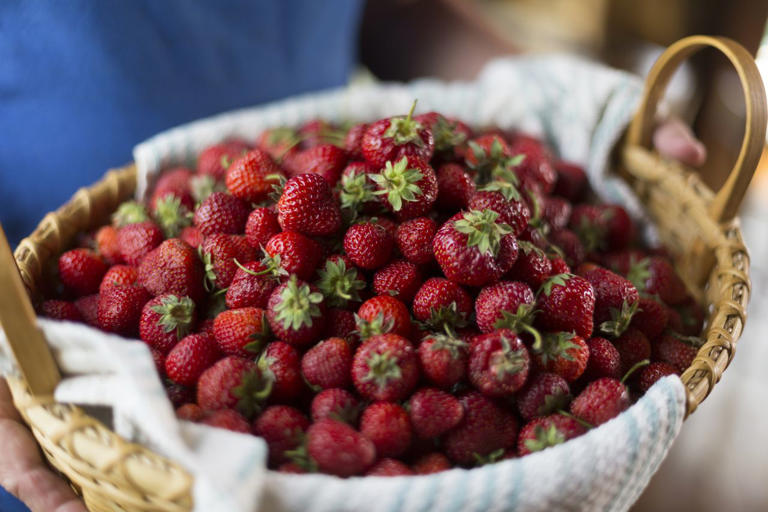 5 best fruits for better blood sugar, according to a dietitian
