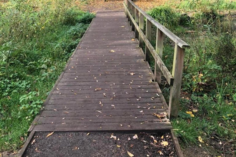 The peaceful Manchester park perfect for autumn with food truck and ...