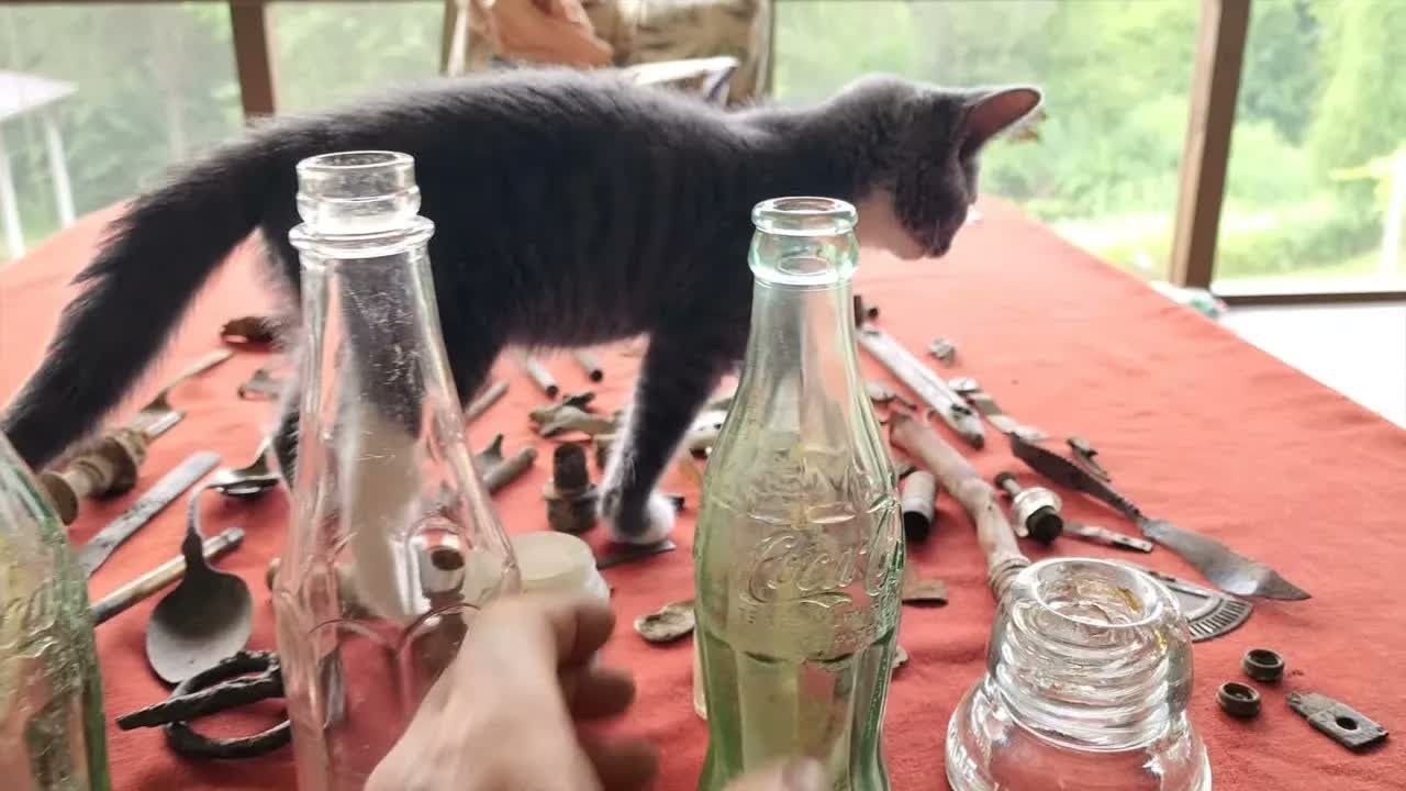 Treasure hunter finds old Coca-Cola bottles in a river, but a curious ...