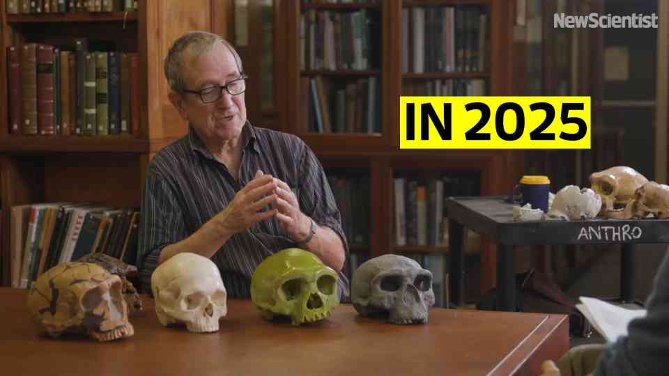 Where are the Denisovans? The answer is in our DNA