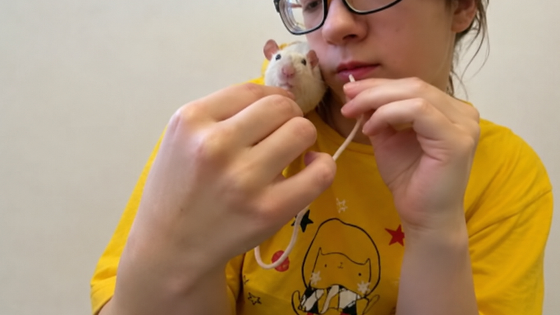 Funny moments of people living with rats