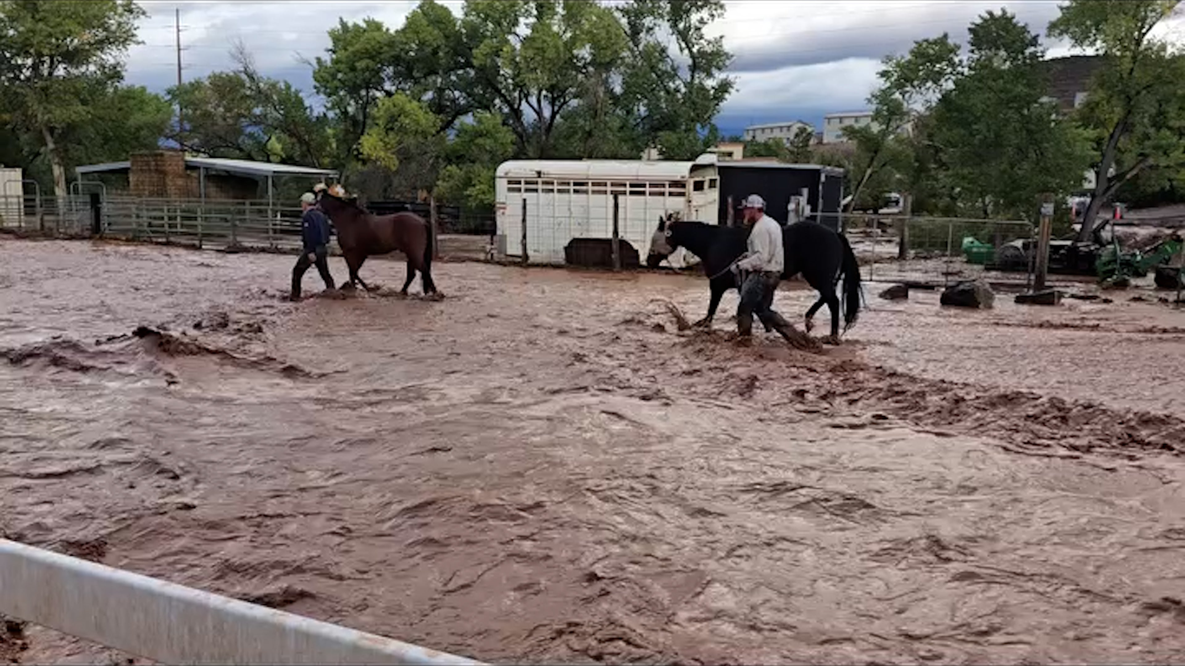 Neighbors lead horses to safety as flooding slams Hurricane, Utah