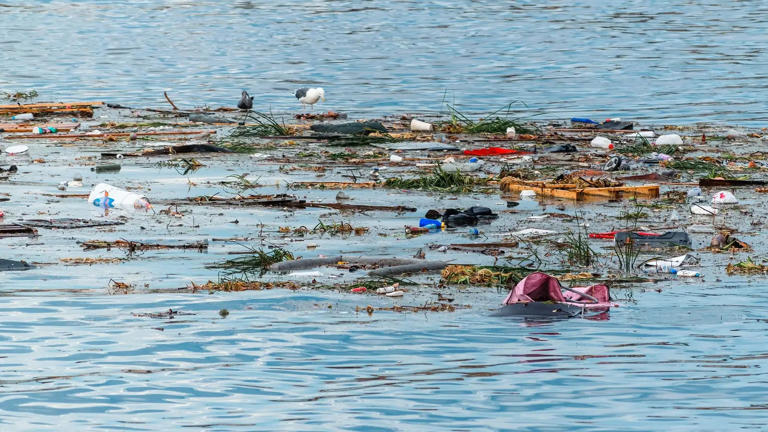 Oceans ranked by plastic pollution