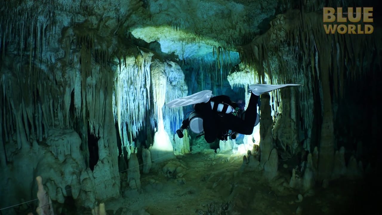 Divers reached the end of a Mexican cave line - then swam into a ...
