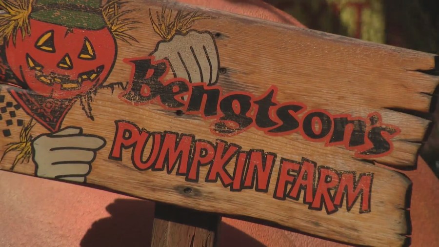 5 E coli cases possibly linked to Bengston's Pumpkin Farm