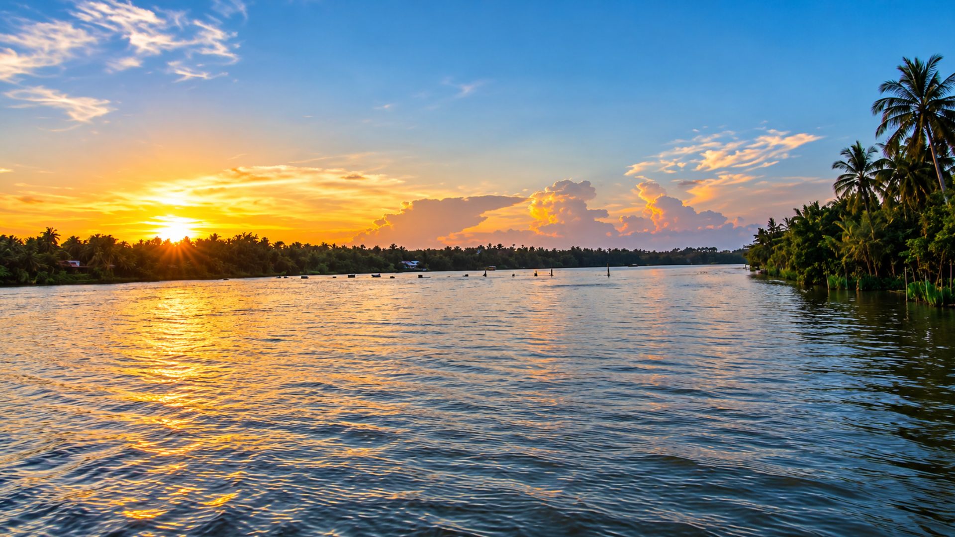 Donde la luz dorada se encuentra con el río Mekong bordeado de palmeras ...