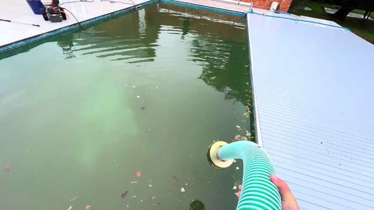 Inside Luisa Zissman's backyard: Professional cleaners drain her ...