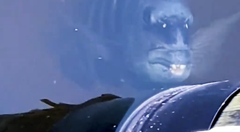 Researchers found a fish that looks like it has human teeth