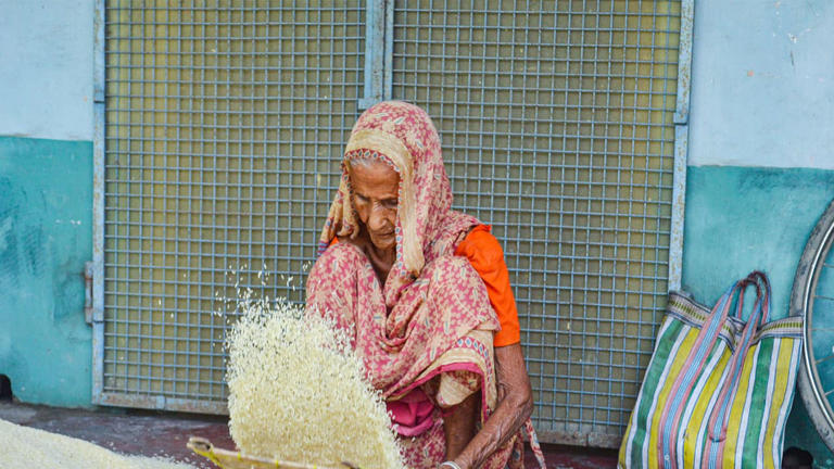 Rising freight costs may spike Indian rice prices by USD 60 per tonne