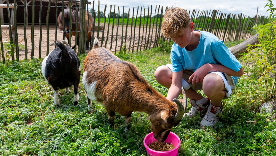 8 heartwarming moments of kids with animals