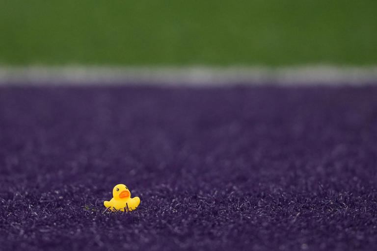 What are ya - yellow? The rubber duck carries filaments of American ...