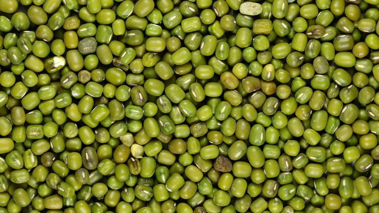 Natural Grocers recalled its organic mung beans after customers ...