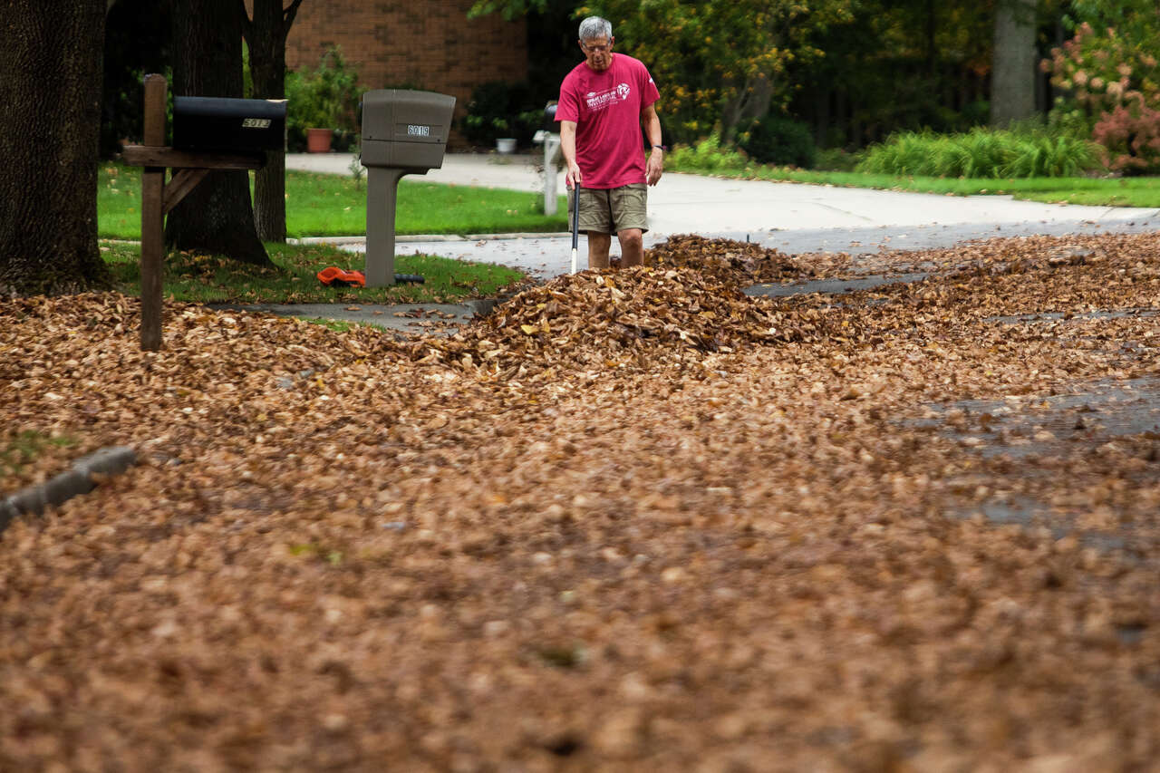 Midland fall leaf collection begins October 26