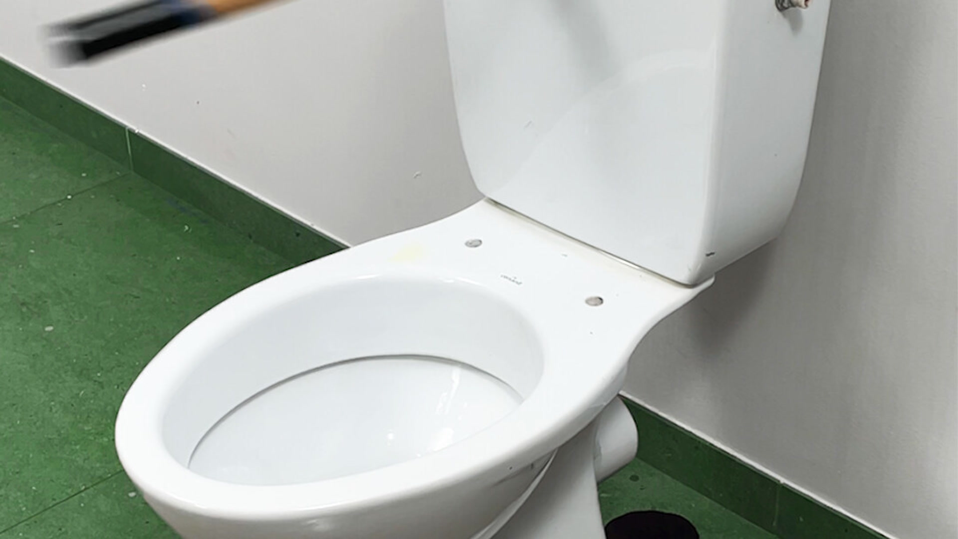 Creative toilet aquarium: building a unique aquascape with pipes