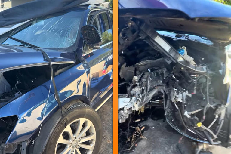 Mechanic totals woman’s Audi on ‘unauthorized’ test drive. Is it her ...