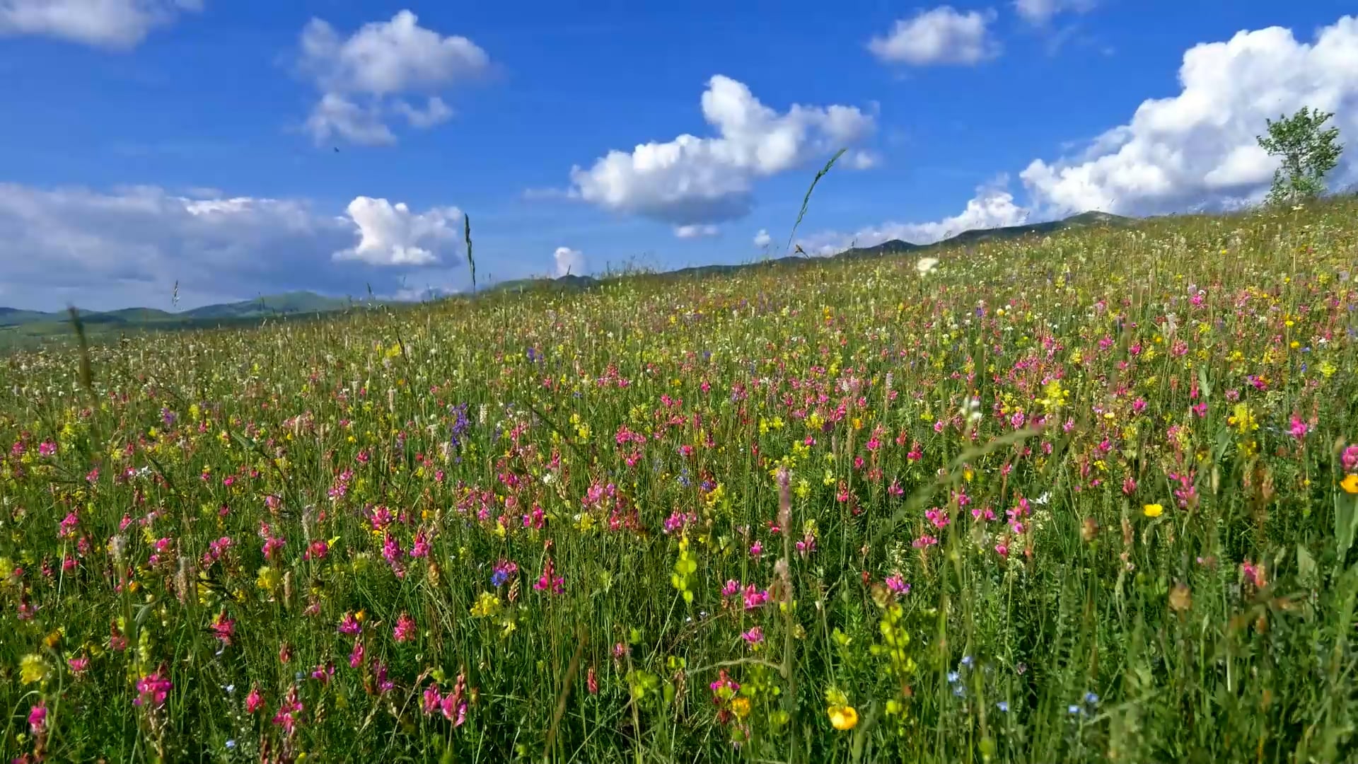 Drone showcases stunning alpine landscapes as winter transitions to spring