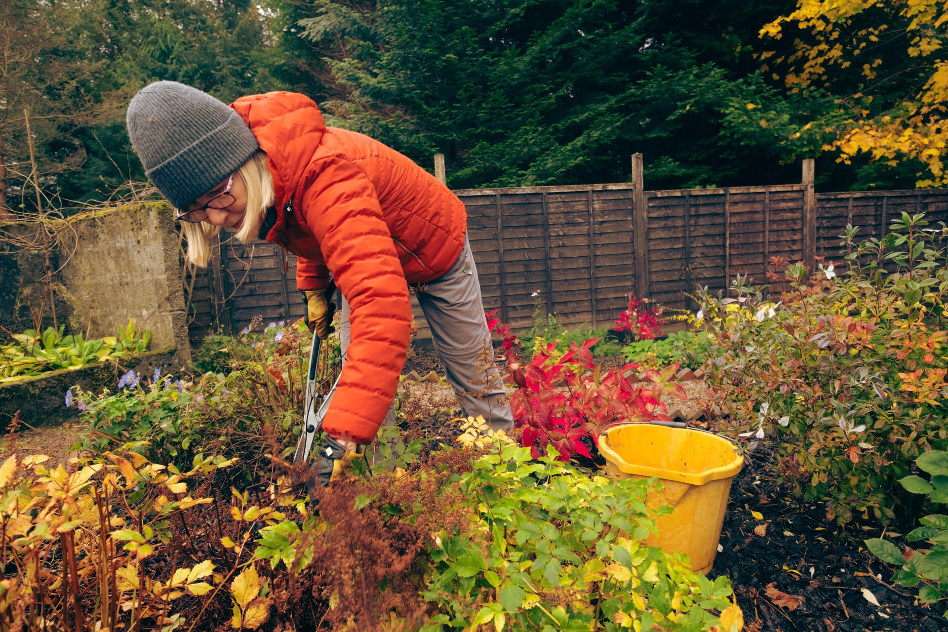 Autumn is well and truly here — 6 things to do in your garden now ...