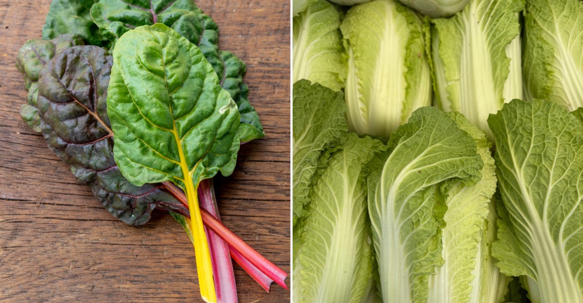 15 types of cabbage and greens and what each one is best at