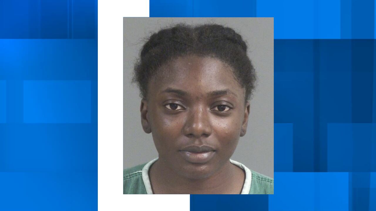 NCPD: Summerville bus driver accused of DUI, evading police, using son ...