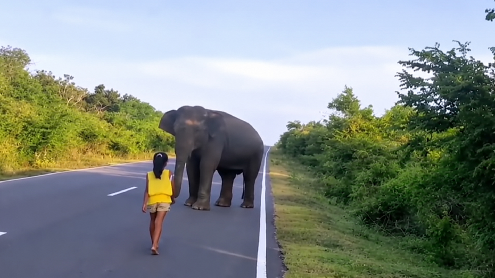 Fearless little girl sends giant elephant running
