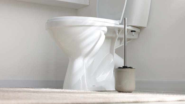 The adorable way to cover up this ugly bathroom toilet feature