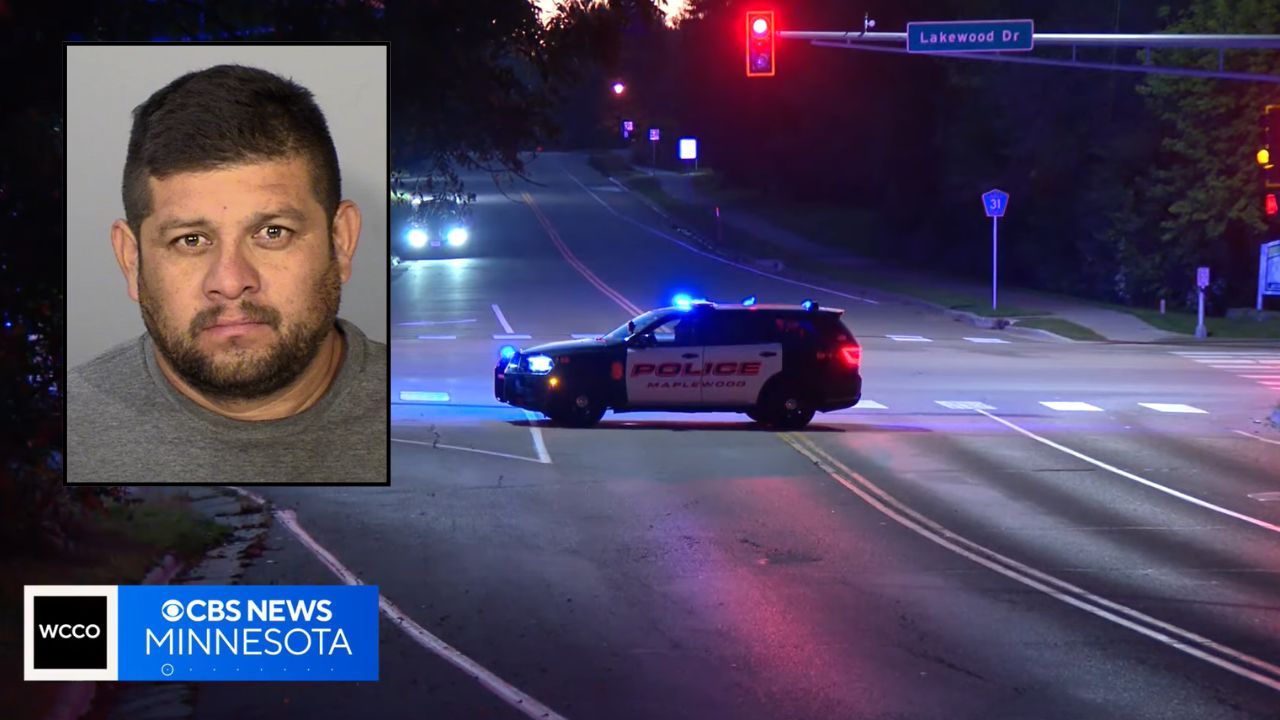Driver ran over pedestrian with his work van then went to job 2 hours away, told people he may have hit a deer