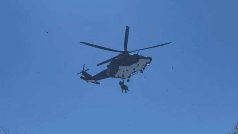 Hunter rescued by Maryland State Police helicopter after falling from ...