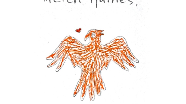 Young voters in Indi share how Helen Haines has inspired them