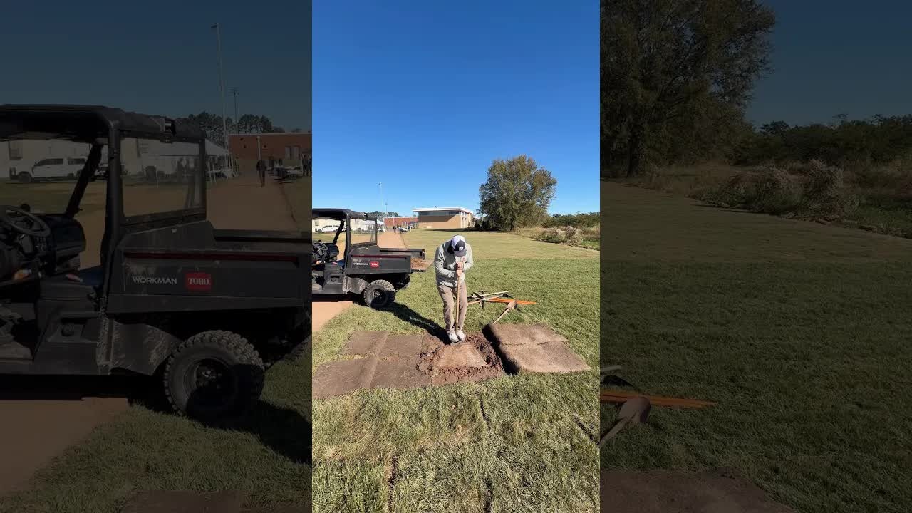Identifying and addressing a rock in your sod