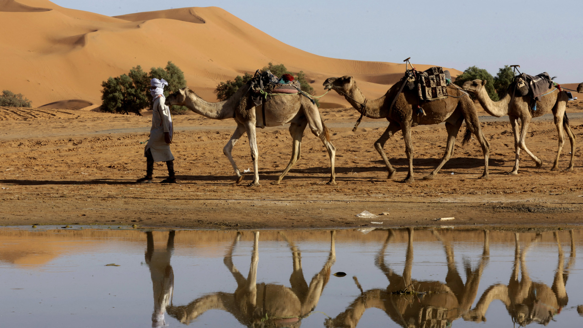 The wettest and driest countries in the world