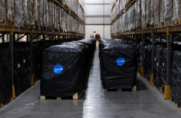 Dubai sends winter relief supplies to Gaza through new air bridge